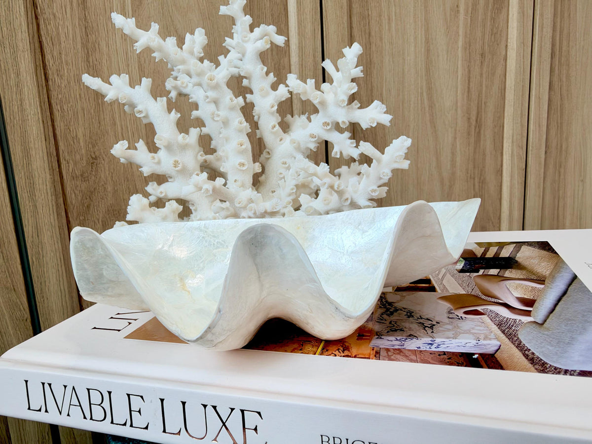 Capiz Clam Shell Bowl 8"x4"x3" Scalloped Edge Dish Seashell Ivory Coastal Home Décor