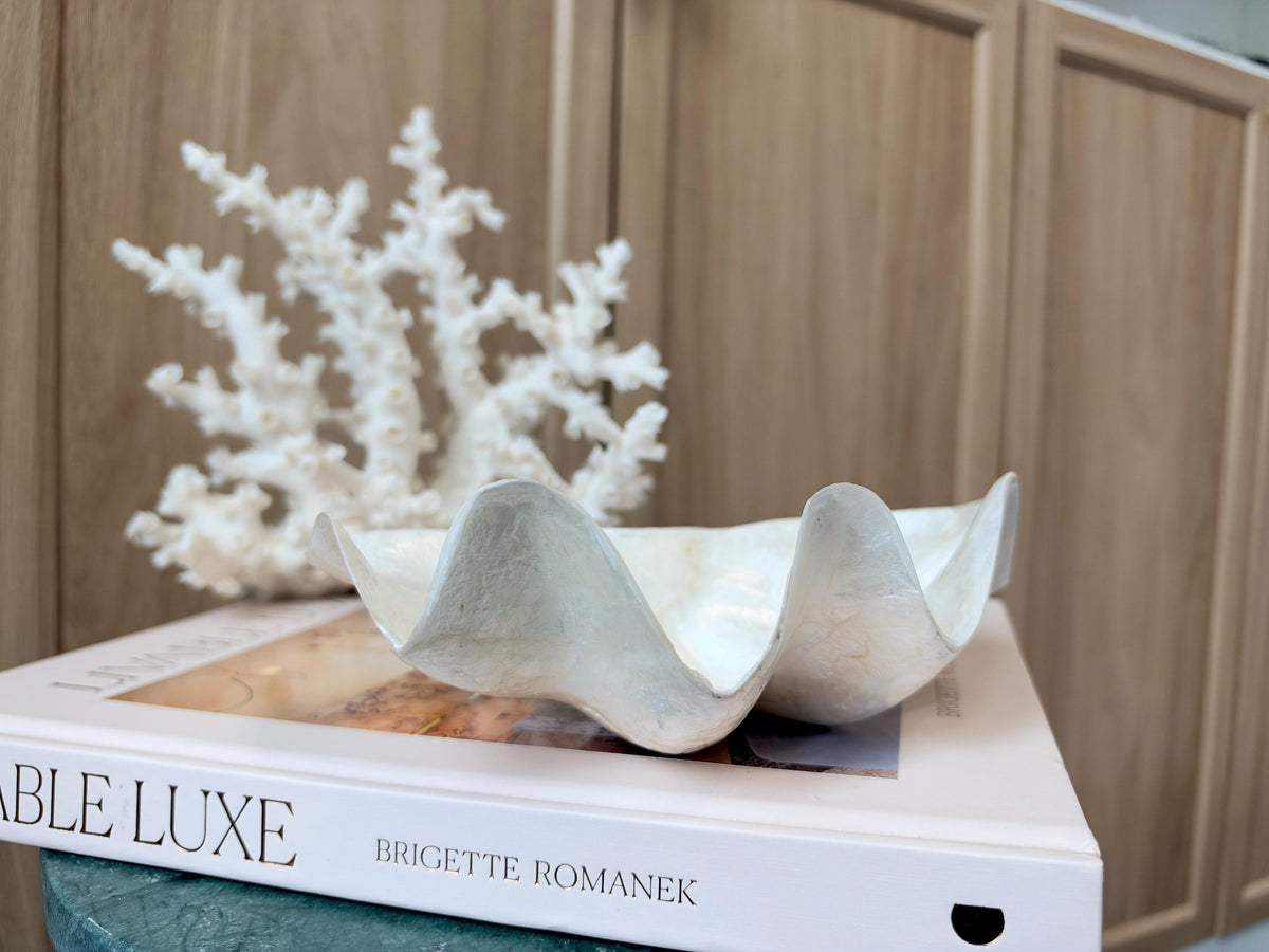 Capiz Clam Shell Bowl 8"x4"x3" Scalloped Edge Dish Seashell Ivory Coastal Home Décor