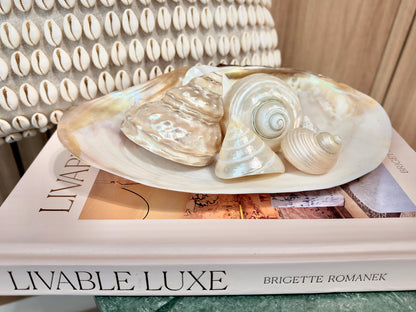 Mother of Pearl Seashells in Clam Shell Plate – Set of 7 Luxury Coastal Tray Dish