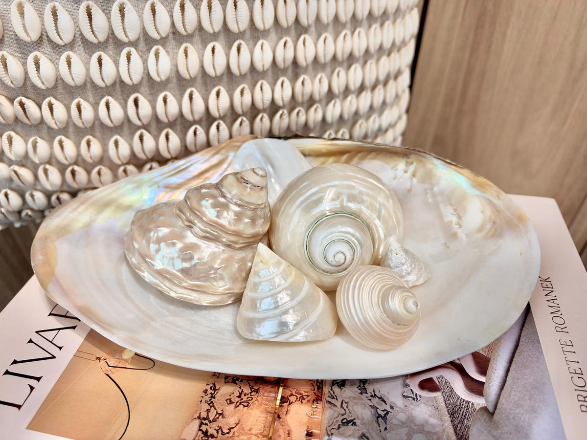 Mother of Pearl Seashells in Clam Shell Plate – Set of 7 Luxury Coastal Tray Dish