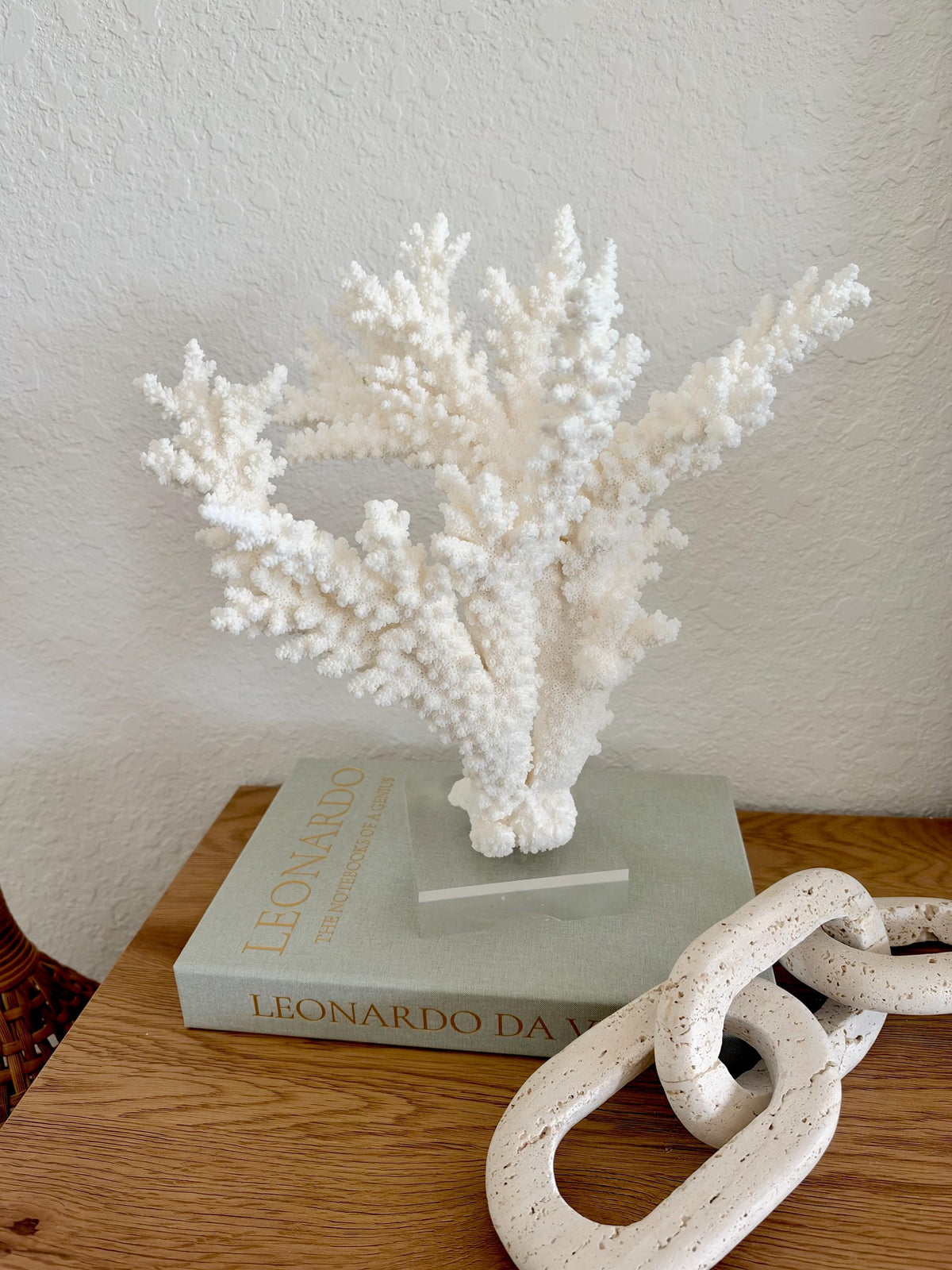 Real Branch Coral Fossil Specimen: 12" x 13" x 7.5" Coastal Décor (Lucite Mount)