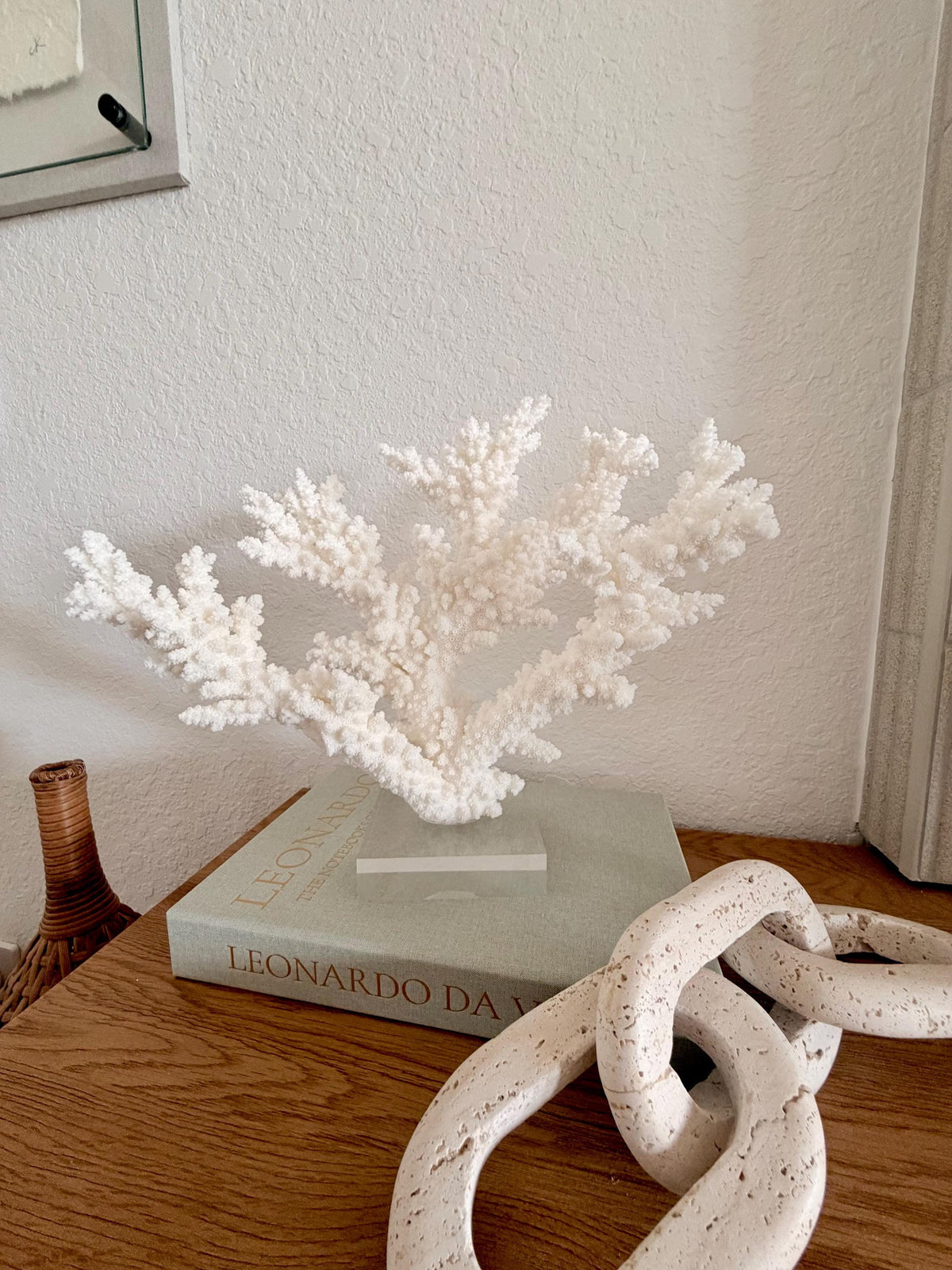 Real Branch Coral Fossil Specimen: 13.5" x 11.5" x 6" Coastal Décor (Lucite Mount)