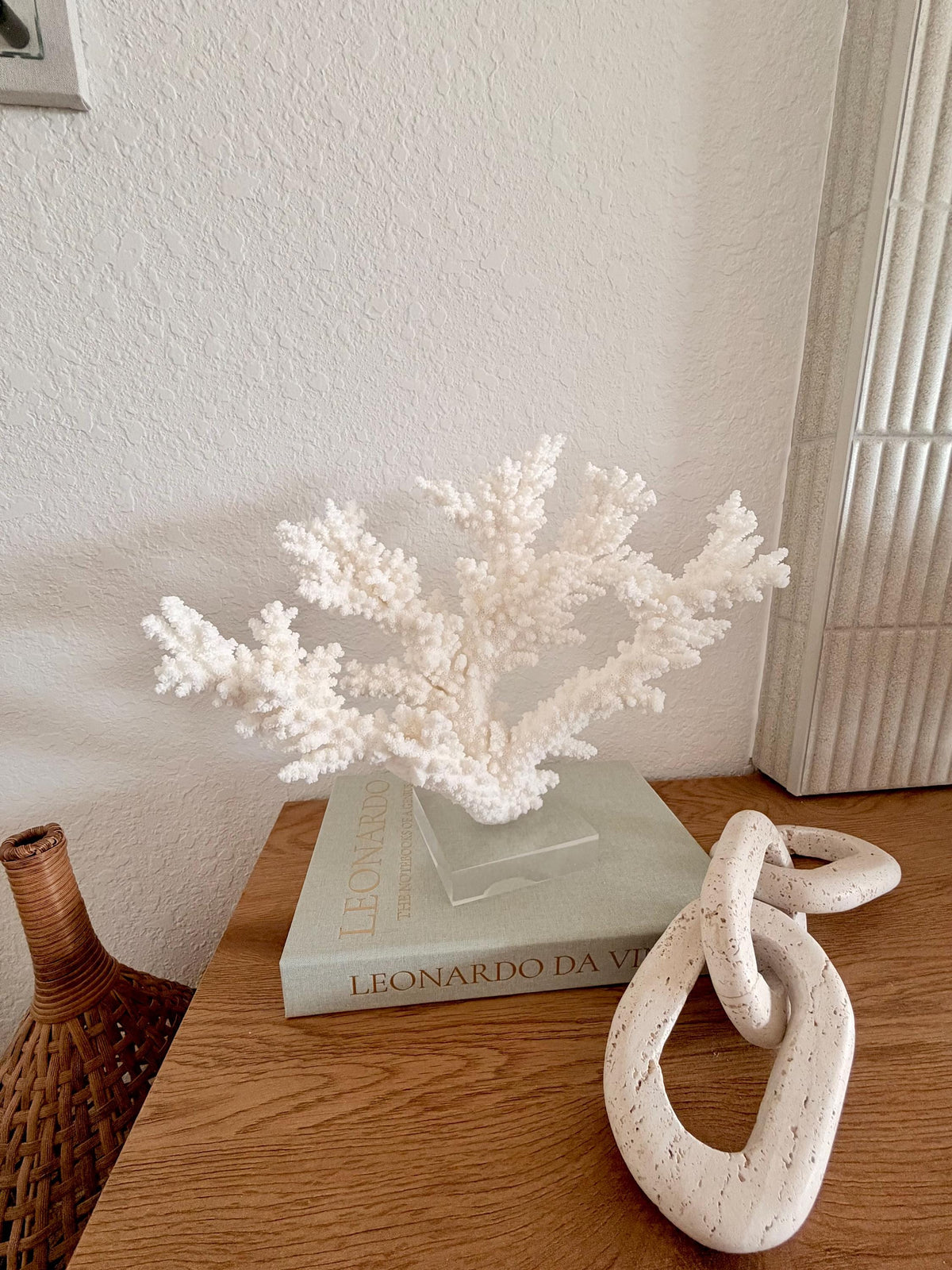 Real Branch Coral Fossil Specimen: 13.5" x 11.5" x 6" Coastal Décor (Lucite Mount)