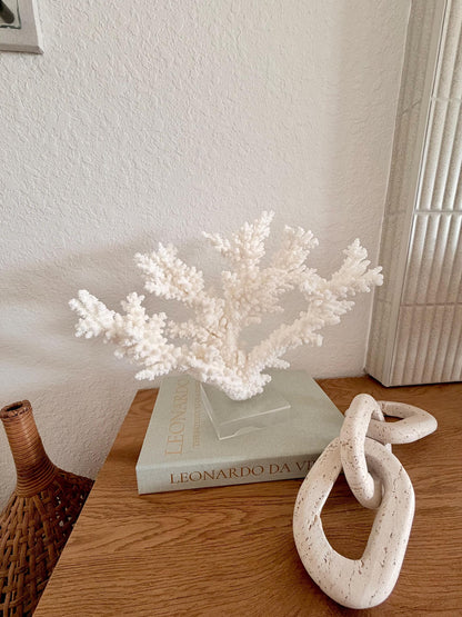 Real Branch Coral Fossil Specimen: 13.5" x 11.5" x 6" Coastal Décor (Lucite Mount)