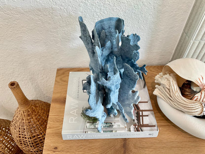 Blue Ridge Coral Fossil Specimen: 11" x 10.5" x 8" Coastal Beach House Décor