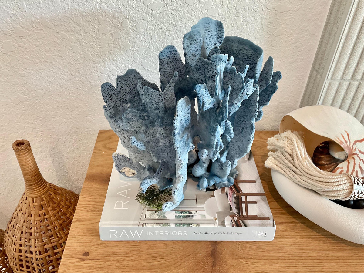 Blue Ridge Coral Fossil Specimen: 11" x 10.5" x 8" Coastal Beach House Décor