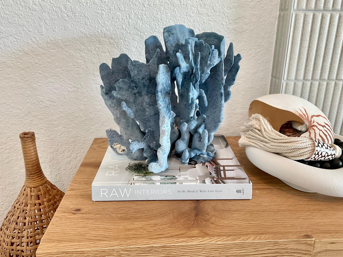 Blue Ridge Coral Fossil Specimen: 11" x 10.5" x 8" Coastal Beach House Décor