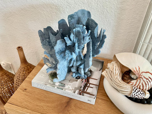 Blue Ridge Coral Fossil Specimen: 11" x 10.5" x 8" Coastal Beach House Décor