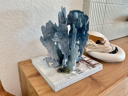 Blue Ridge Coral Fossil Specimen: 11" x 10.5" x 8" Coastal Beach House Décor