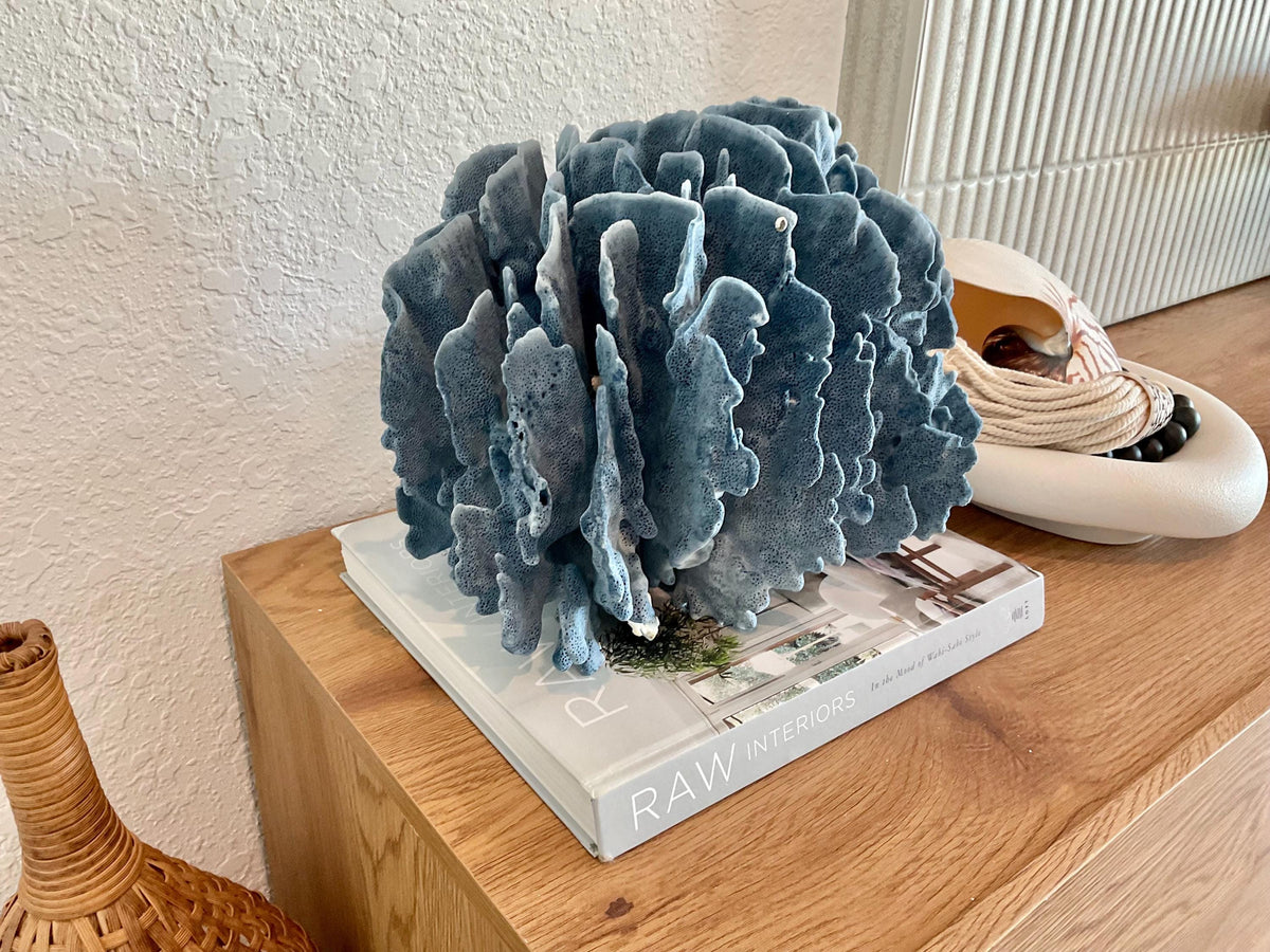 Blue Ridge Coral Fossil Specimen: 12" x 9" x 9" Coastal Beach House Décor