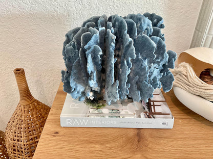 Blue Ridge Coral Fossil Specimen: 12" x 9" x 9" Coastal Beach House Décor