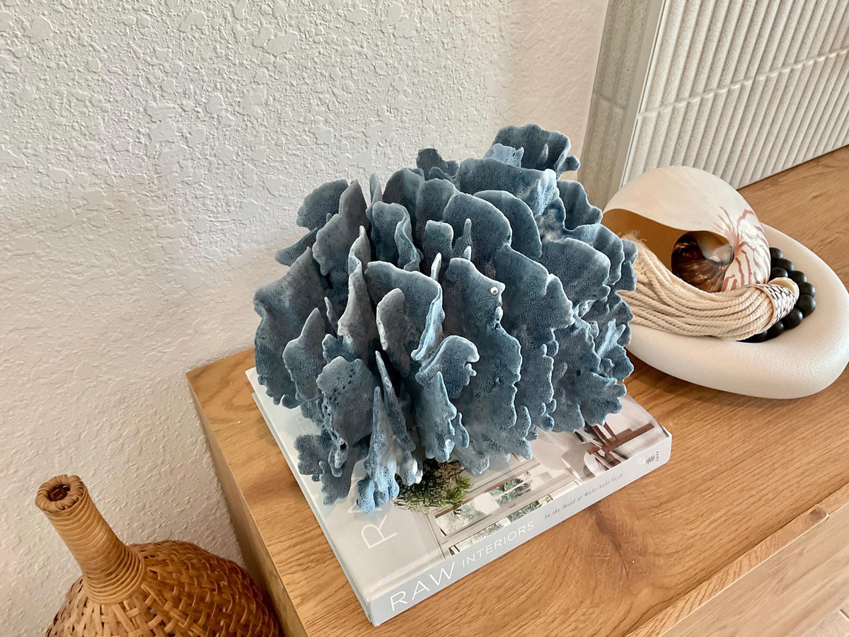 Blue Ridge Coral Fossil Specimen: 12" x 9" x 9" Coastal Beach House Décor