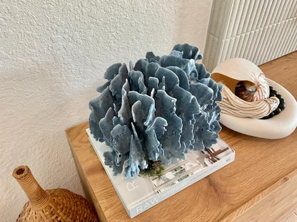Blue Ridge Coral Fossil Specimen: 12" x 9" x 9" Coastal Beach House Décor