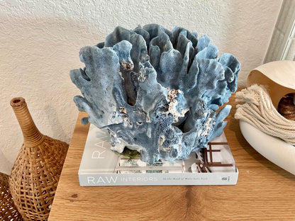 Blue Ridge Coral Fossil Specimen: 12" x 9" x 9" Coastal Beach House Décor