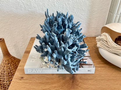 Blue Ridge Coral Fossil Specimen: 14" x 9" x 8” Coastal Beach House Décor