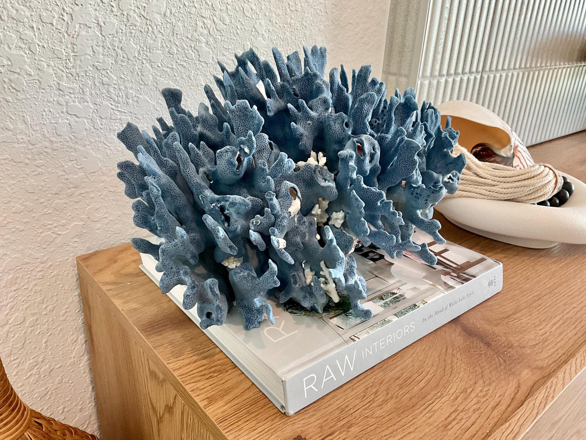 Blue Ridge Coral Fossil Specimen: 14" x 9" x 8” Coastal Beach House Décor