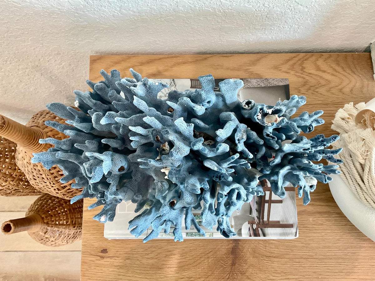 Blue Ridge Coral Fossil Specimen: 14" x 9" x 8” Coastal Beach House Décor