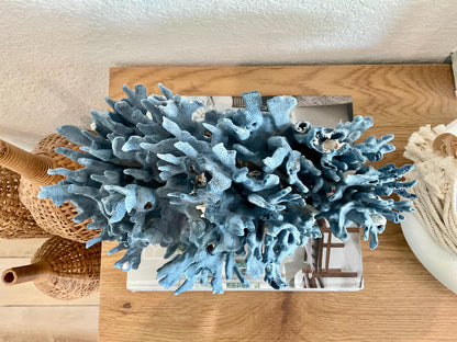 Blue Ridge Coral Fossil Specimen: 14" x 9" x 8” Coastal Beach House Décor