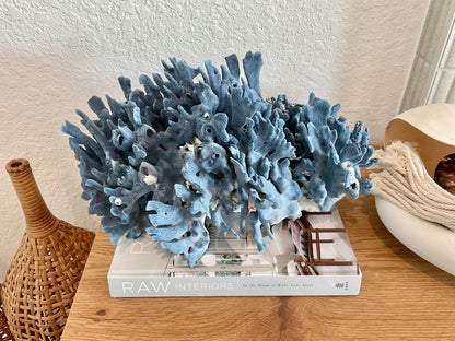 Blue Ridge Coral Fossil Specimen: 14" x 9" x 8” Coastal Beach House Décor