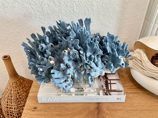 Blue Ridge Coral Fossil Specimen: 14" x 9" x 8” Coastal Beach House Décor