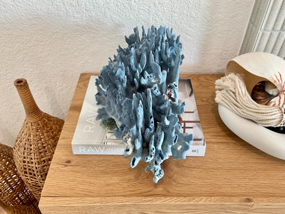 Blue Ridge Coral Fossil Specimen: 14" x 9" x 8” Coastal Beach House Décor