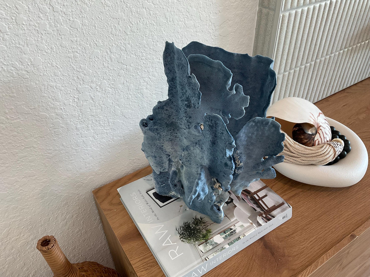 Blue Ridge Coral Fossil Specimen: 15.5" x 11" x 9” Coastal Beach House Décor