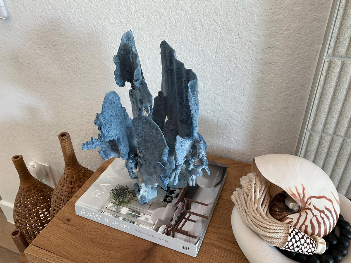 Blue Ridge Coral Fossil Specimen: 15.5" x 11" x 9” Coastal Beach House Décor