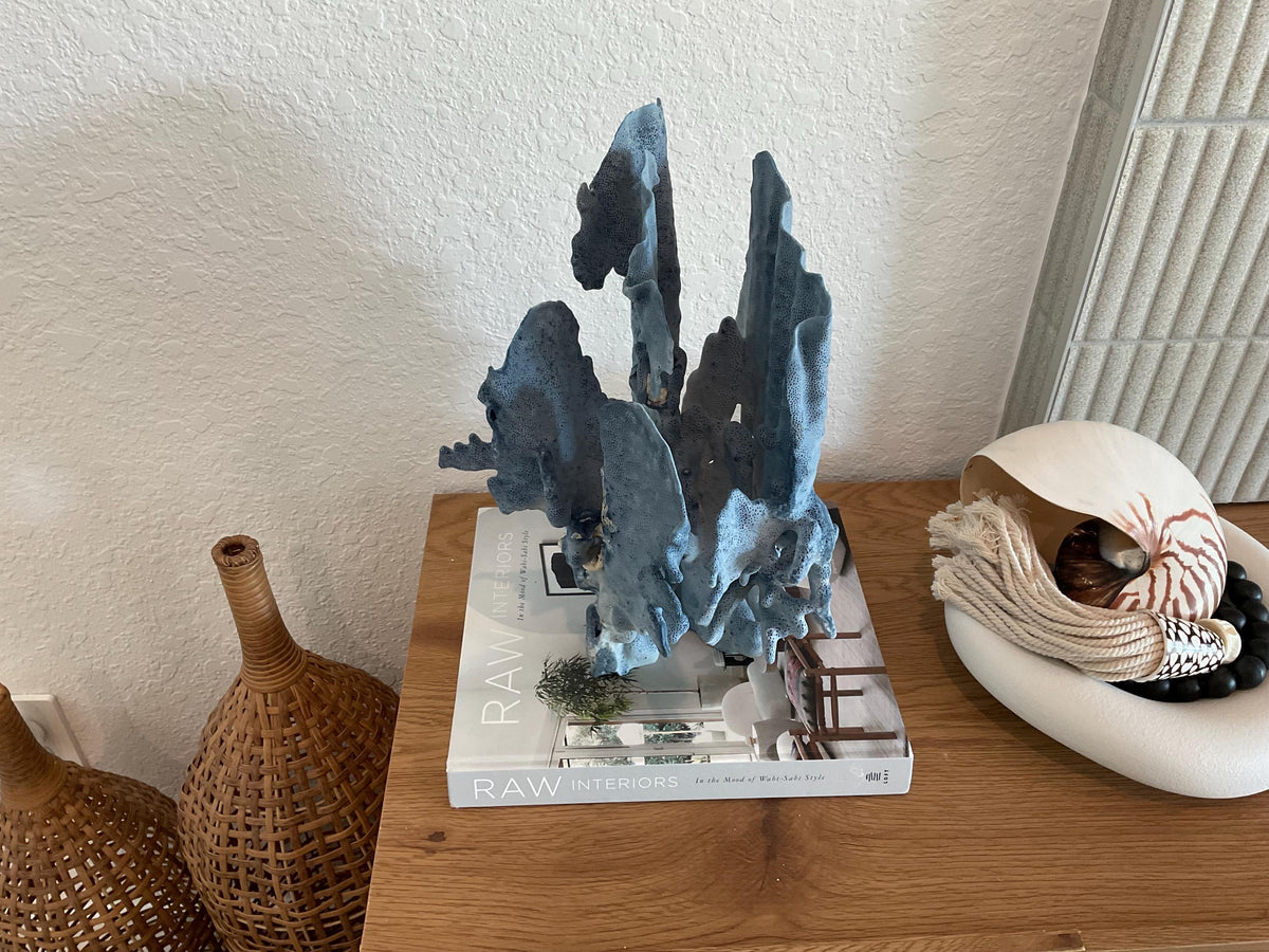 Blue Ridge Coral Fossil Specimen: 15.5" x 11" x 9” Coastal Beach House Décor