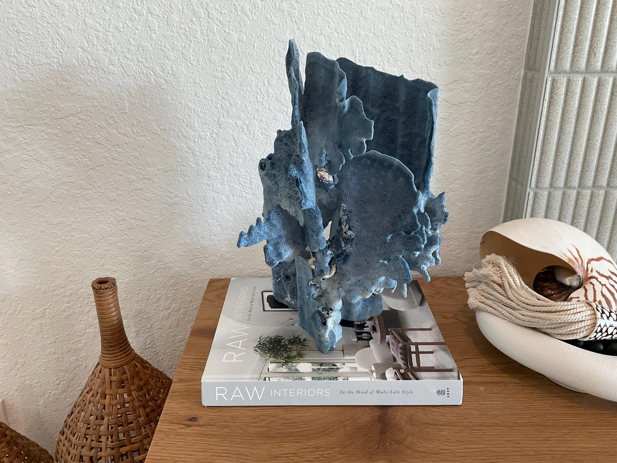 Blue Ridge Coral Fossil Specimen: 15.5" x 11" x 9” Coastal Beach House Décor