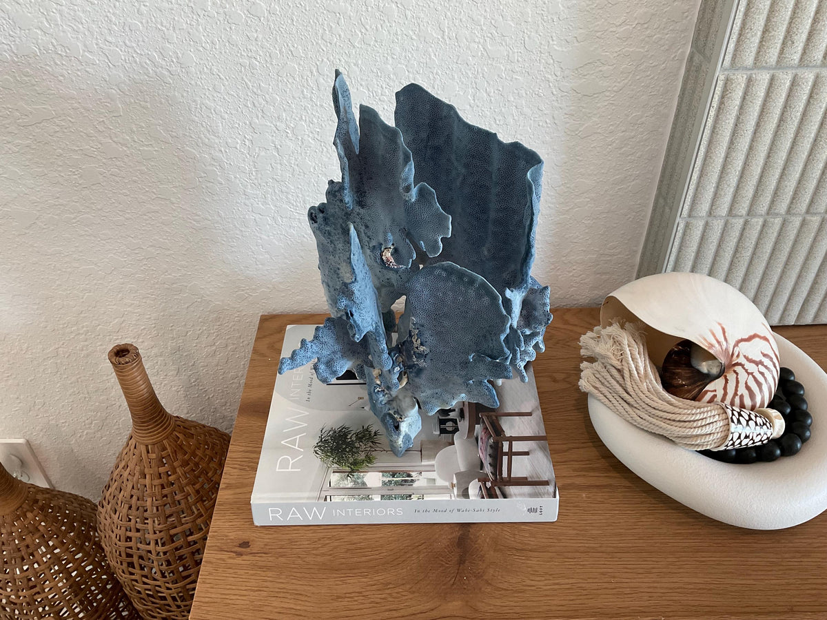 Blue Ridge Coral Fossil Specimen: 15.5" x 11" x 9” Coastal Beach House Décor
