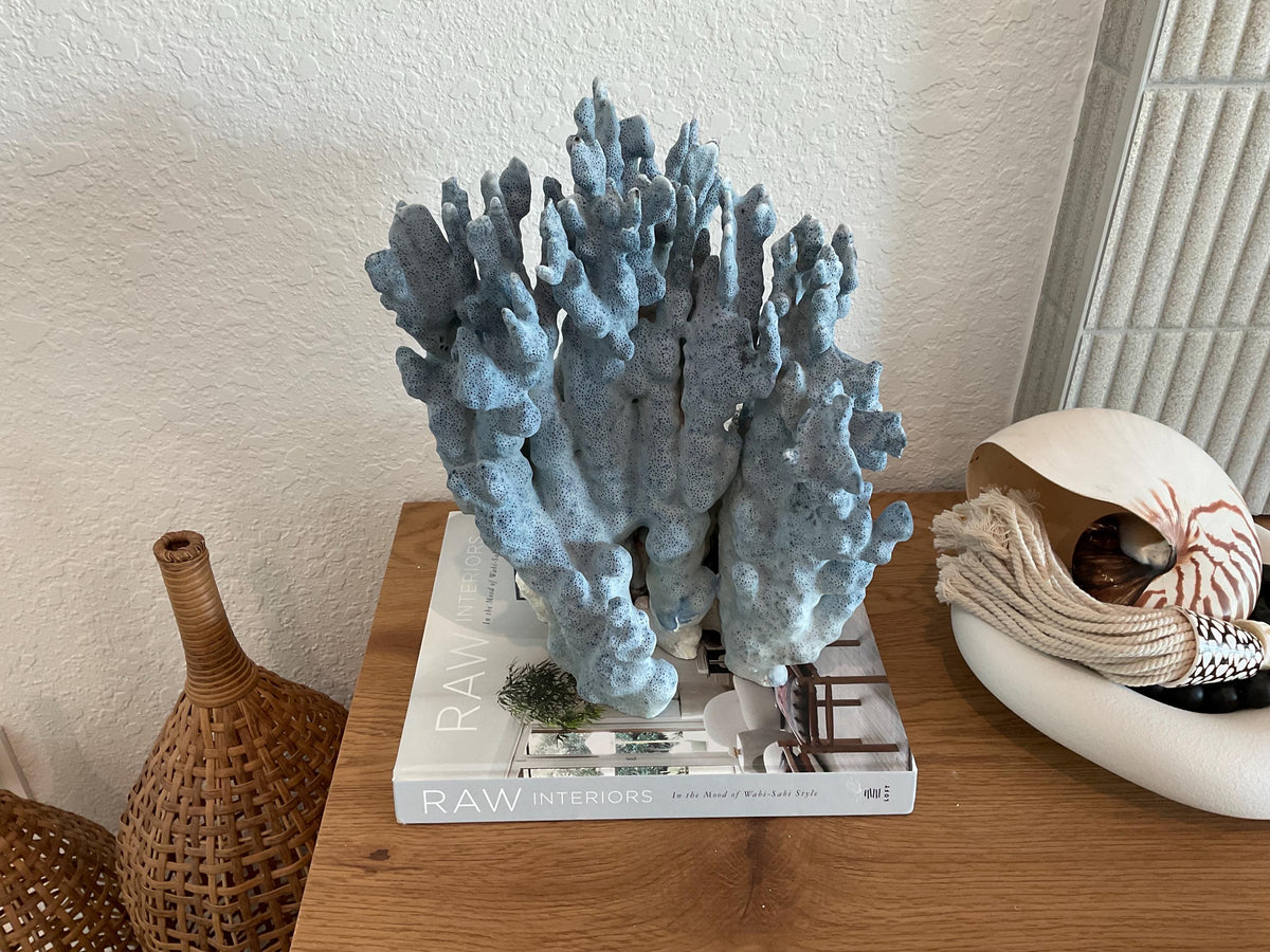 Blue Ridge Coral Fossil Specimen: 14" x 11" x 7” Coastal Beach House Décor
