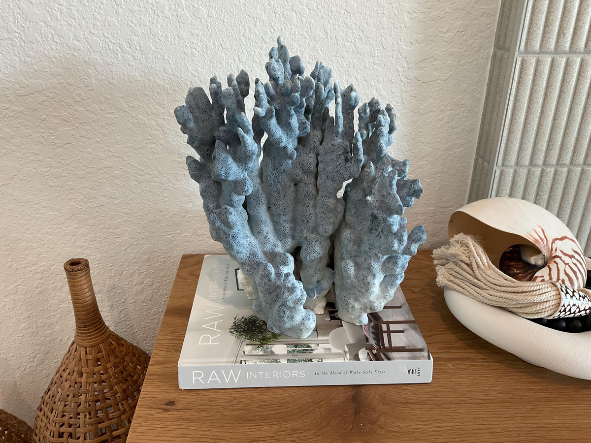 Blue Ridge Coral Fossil Specimen: 14" x 11" x 7” Coastal Beach House Décor