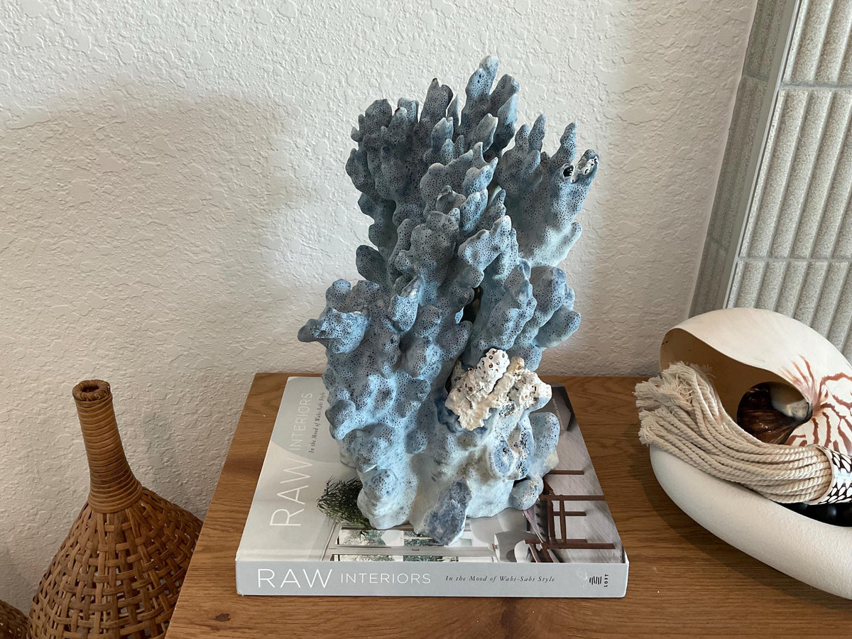 Blue Ridge Coral Fossil Specimen: 14" x 11" x 7” Coastal Beach House Décor