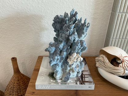 Blue Ridge Coral Fossil Specimen: 14" x 11" x 7” Coastal Beach House Décor