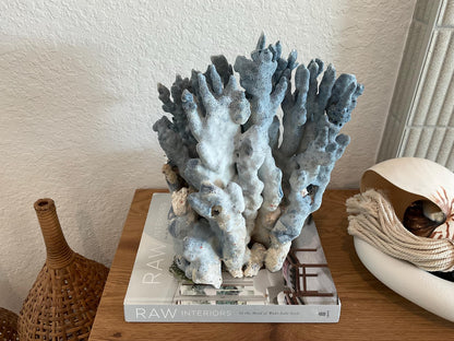 Blue Ridge Coral Fossil Specimen: 14" x 11" x 7” Coastal Beach House Décor