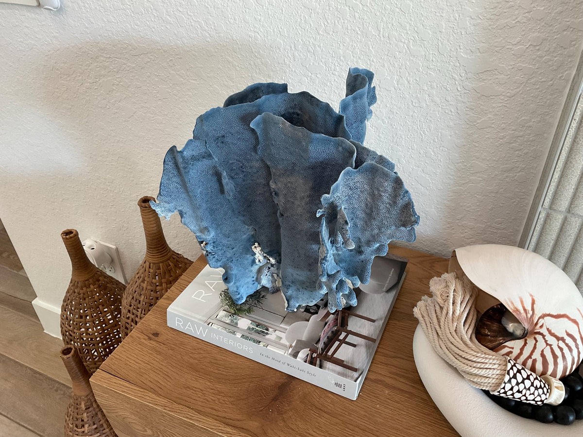 Blue Ridge Coral Fossil Specimen: 13" x 13" x 10” Coastal Beach House Décor