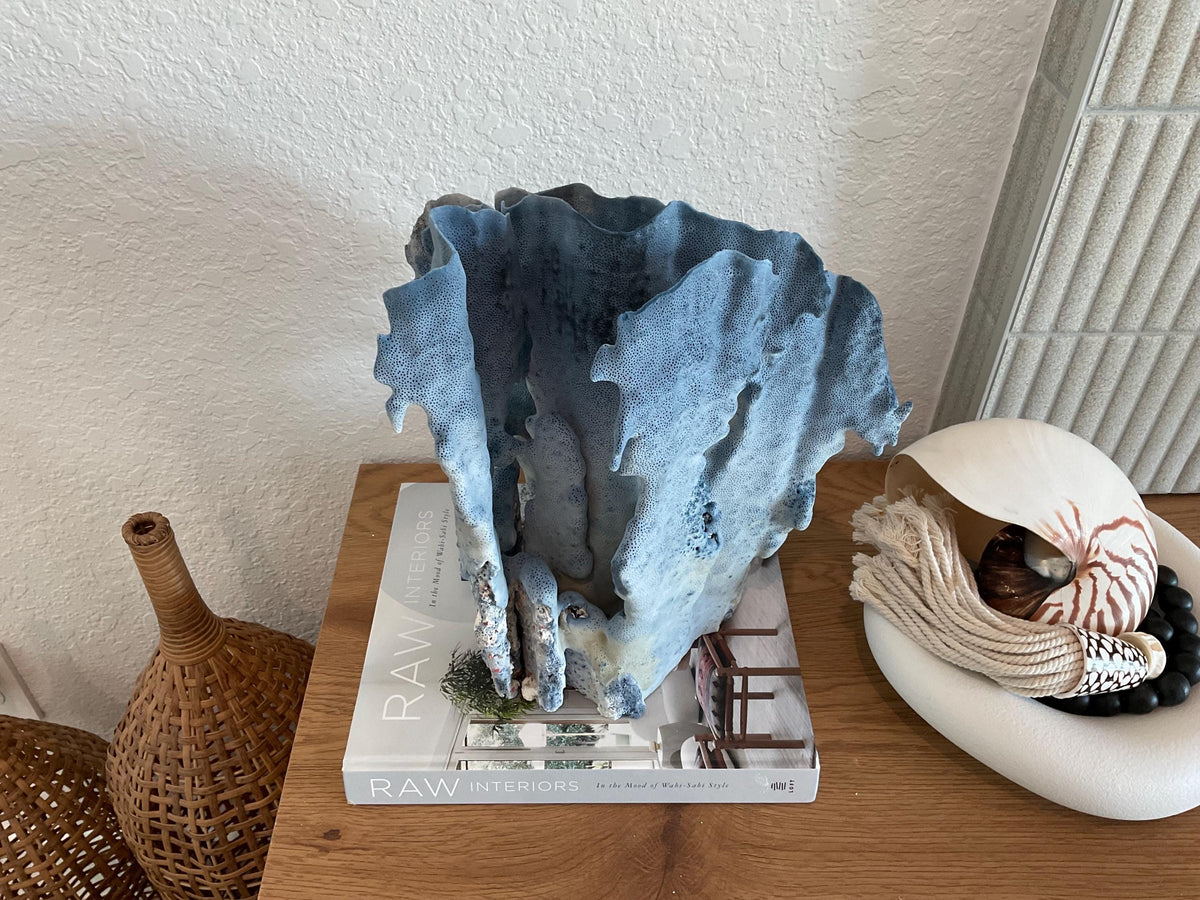 Blue Ridge Coral Fossil Specimen: 13" x 13" x 10” Coastal Beach House Décor