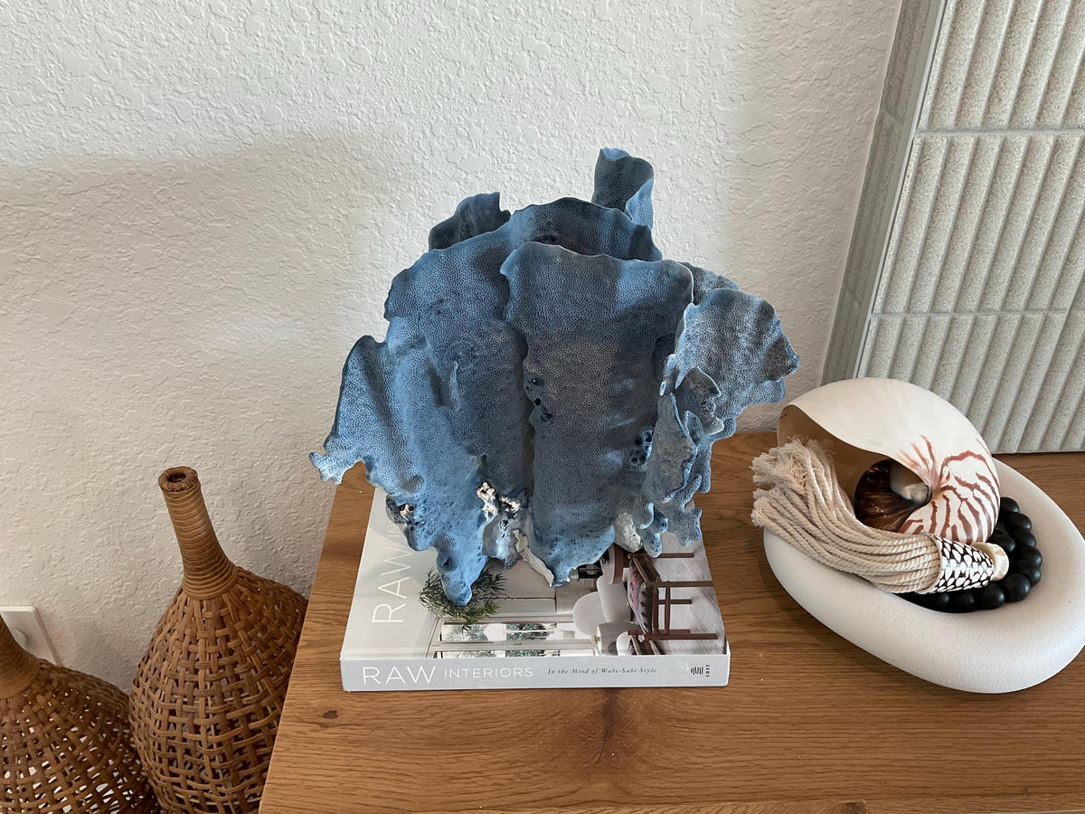 Blue Ridge Coral Fossil Specimen: 13" x 13" x 10” Coastal Beach House Décor