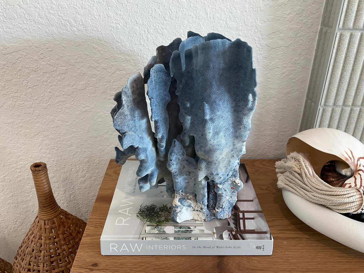 Blue Ridge Coral Fossil Specimen: 13" x 13" x 10” Coastal Beach House Décor