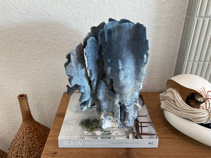 Blue Ridge Coral Fossil Specimen: 13" x 13" x 10” Coastal Beach House Décor