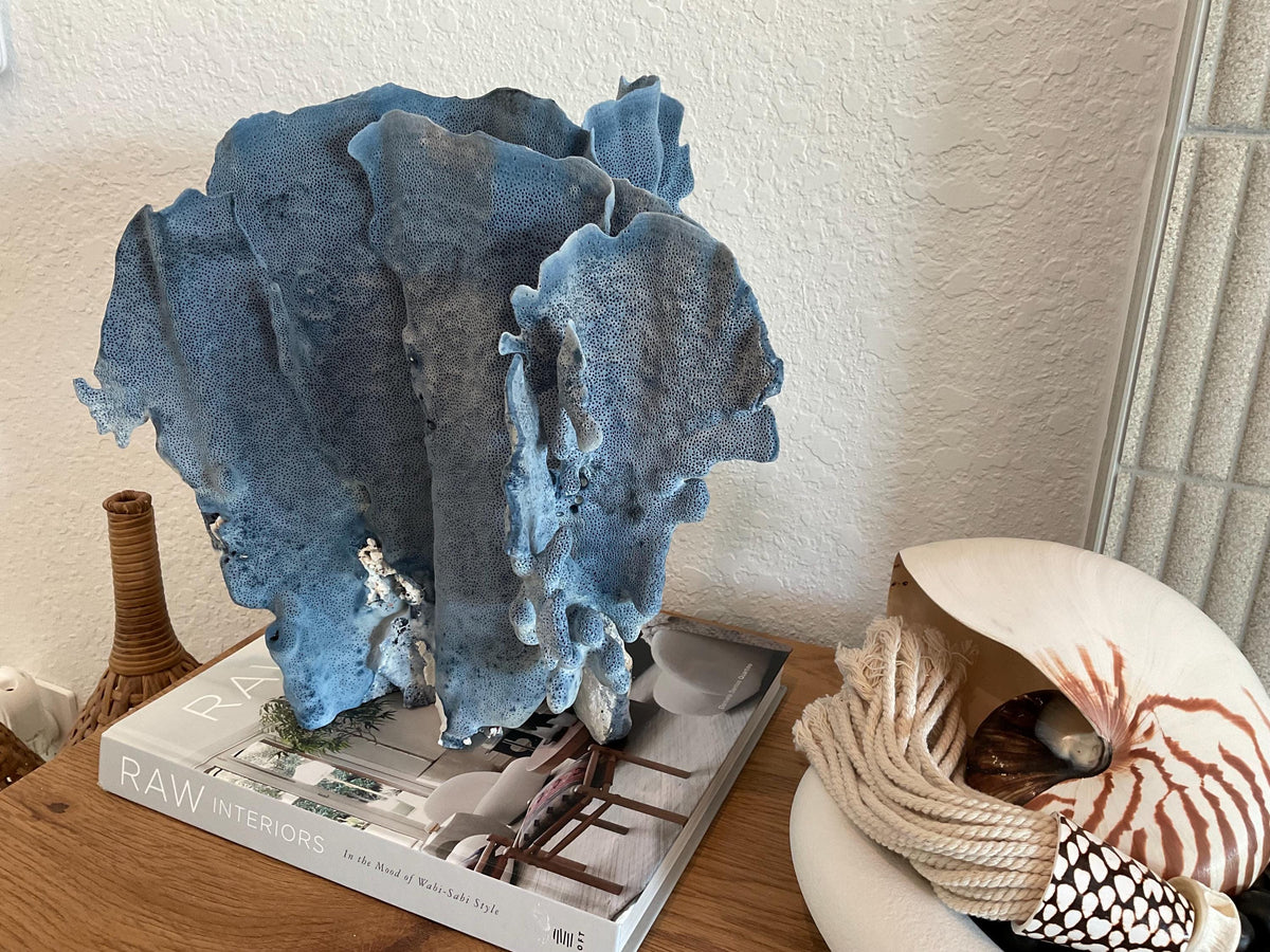 Blue Ridge Coral Fossil Specimen: 13" x 13" x 10” Coastal Beach House Décor