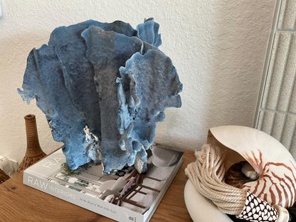 Blue Ridge Coral Fossil Specimen: 13" x 13" x 10” Coastal Beach House Décor