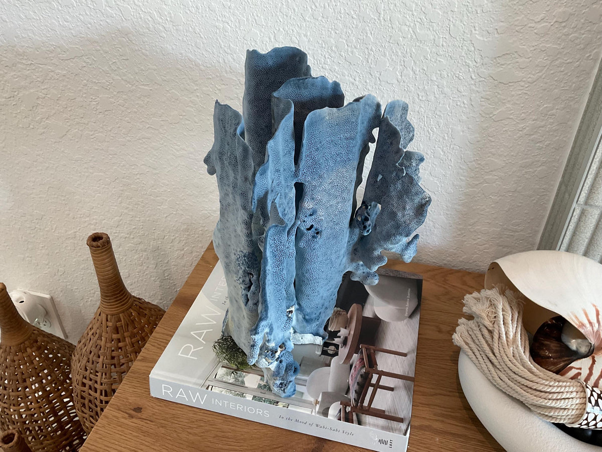 Blue Ridge Coral Fossil Specimen: 13" x 13" x 10” Coastal Beach House Décor