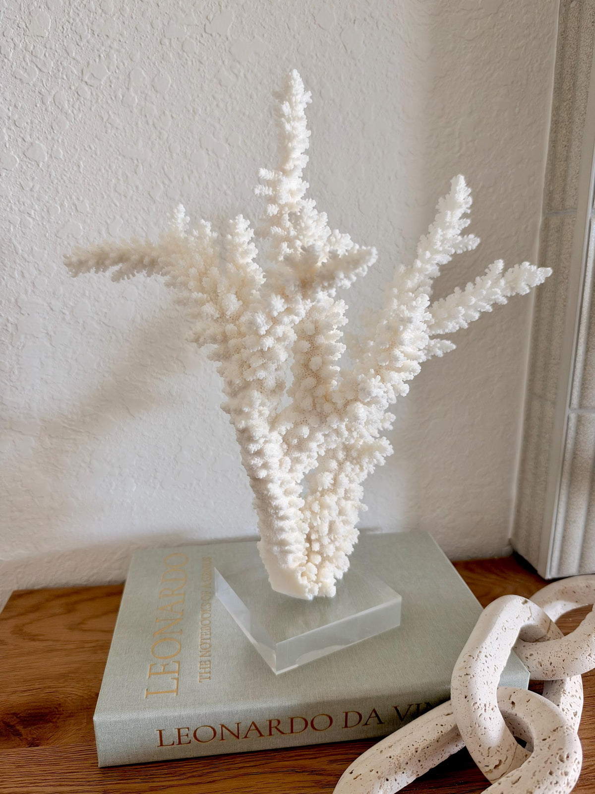 Real Branch Coral Fossil Specimen: 13" x 14" x 8.5" Coastal Décor (Lucite Mount)