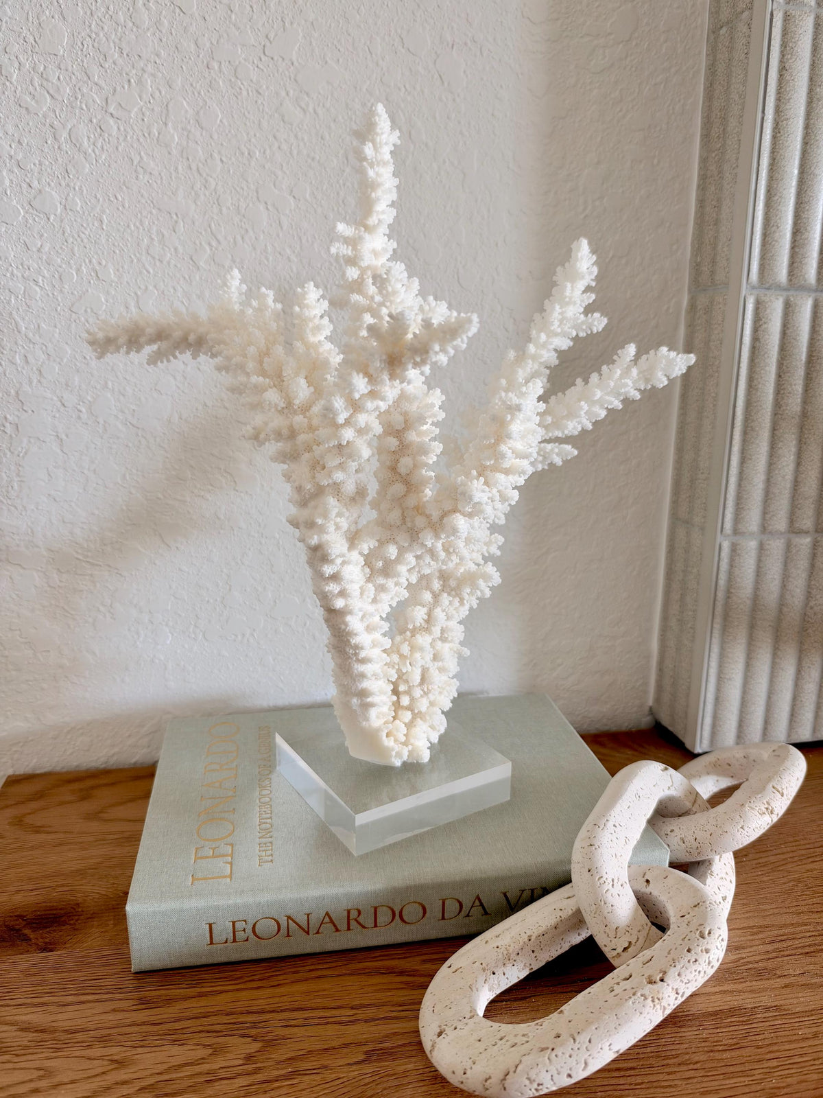 Real Branch Coral Fossil Specimen: 13" x 14" x 8.5" Coastal Décor (Lucite Mount)