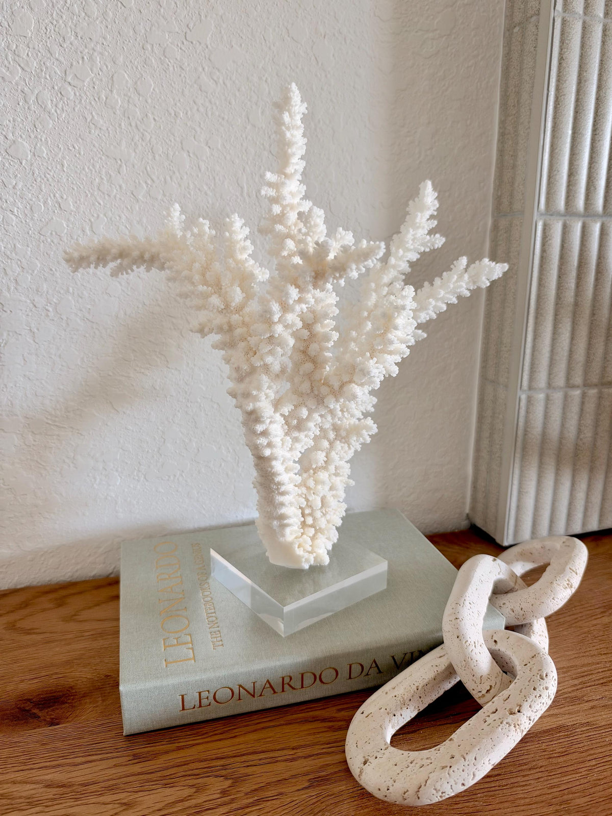 Real Branch Coral Fossil Specimen: 13" x 14" x 8.5" Coastal Décor (Lucite Mount)