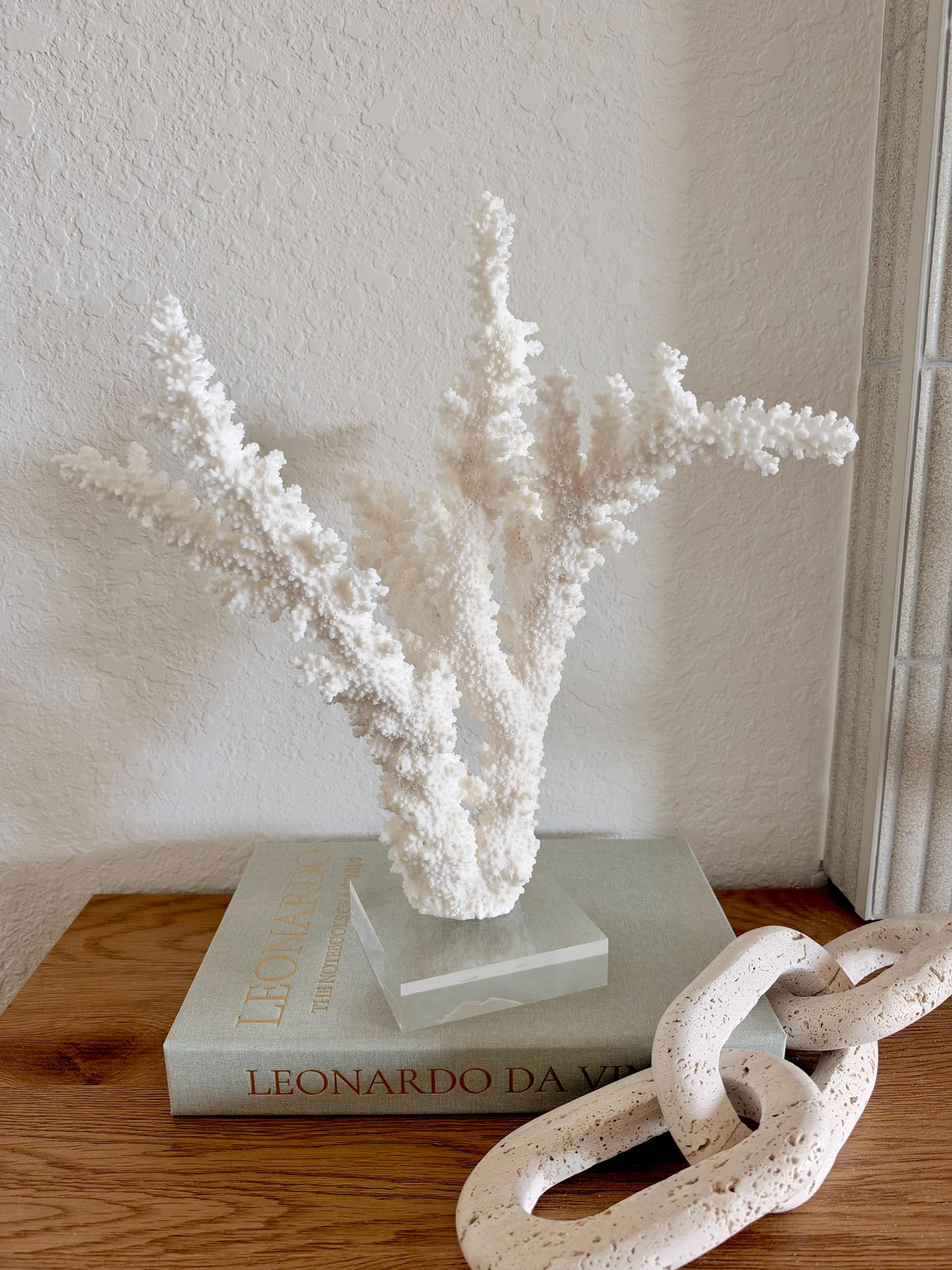 Real Branch Coral Fossil Specimen: 13" x 14" x 8.5" Coastal Décor (Lucite Mount)
