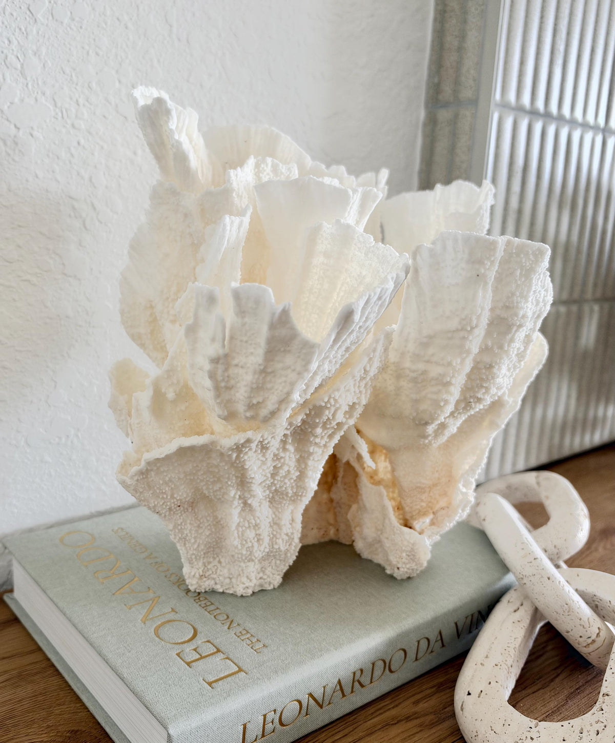 Natural Poca Coral Fossil: 10" x 9.5" x 8.5" Coastal Beach House White Décor