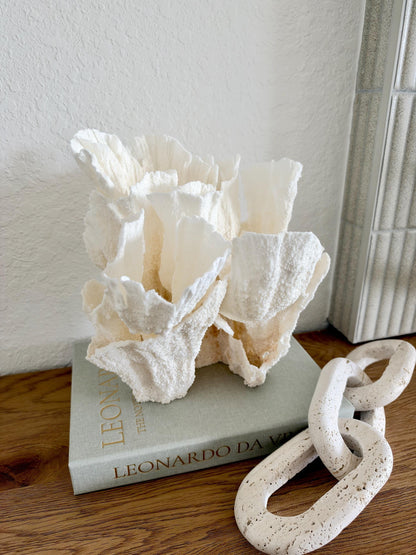 Natural Poca Coral Fossil: 10" x 9.5" x 8.5" Coastal Beach House White Décor
