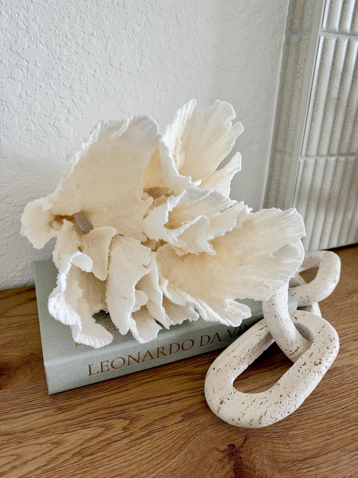 Natural Poca Coral Fossil: 10" x 9.5" x 8.5" Coastal Beach House White Décor